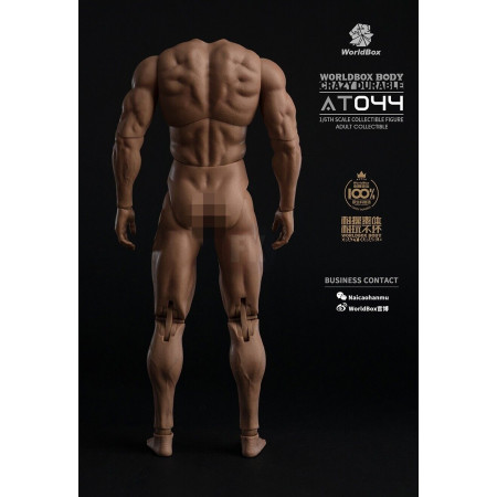 1/6 Scale Durable Male Body AT044